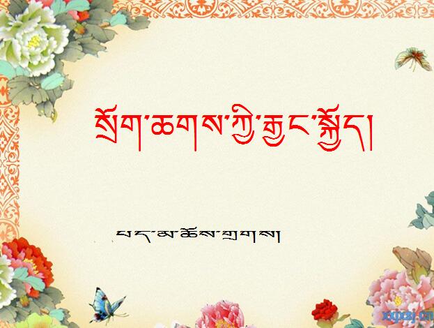 小学五年级下学期藏语文第十三课《动物的长征》课件