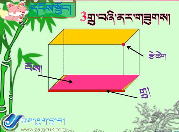 西藏山南地区洛扎县扎日小学五年级下学期数学下册《长方形》课件 (2).jpg