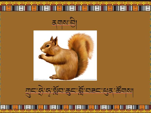 小学六年级上学期藏语文《松鼠》课件
