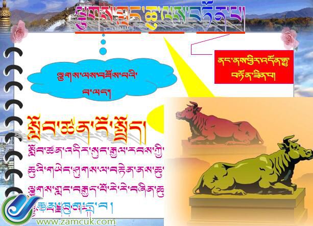 小学六年级下学期藏语文《》抽烟的危害》课件 (3).jpg