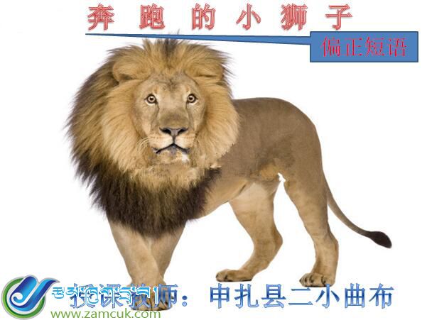 申扎县第二完小六年级下学期汉语文《奔跑的小狮子》课件.jpg