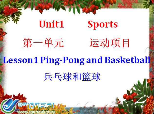 洛扎县扎日乡小学六年级下学期英语《Ping-Pong and Basketball兵乓球和篮球》课件