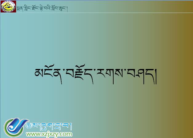 米林县小学六年级藏语文第五课《词藻》课件