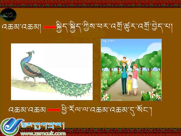 小学三年级上学期藏语文《骄傲的孔雀》课件 (2).jpg