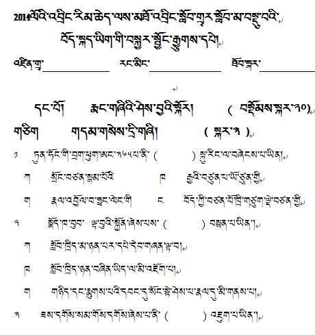 2014年毕业班藏语文中考模拟题试卷