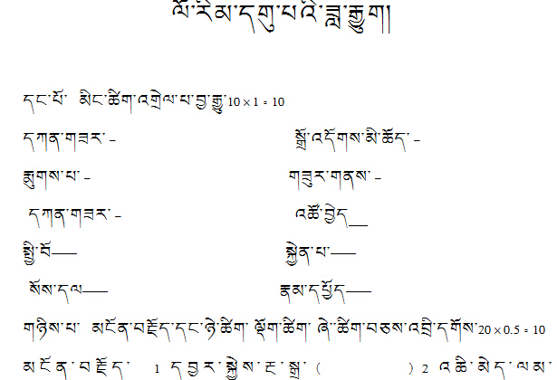 九年级藏语文月考试卷