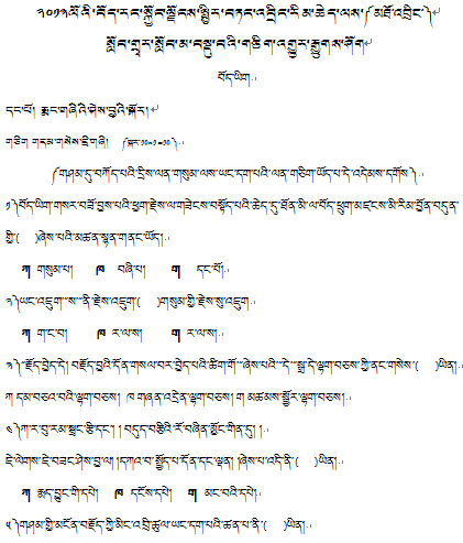 2013年藏语文中考真题