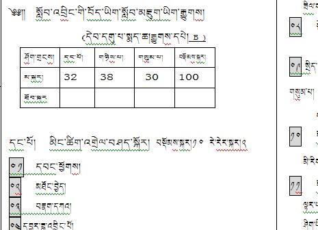 九年级下学期藏语文期末考试试卷B