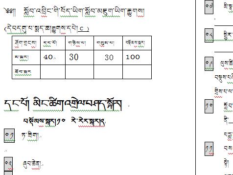 九年级下学期藏语文期末考试试卷C