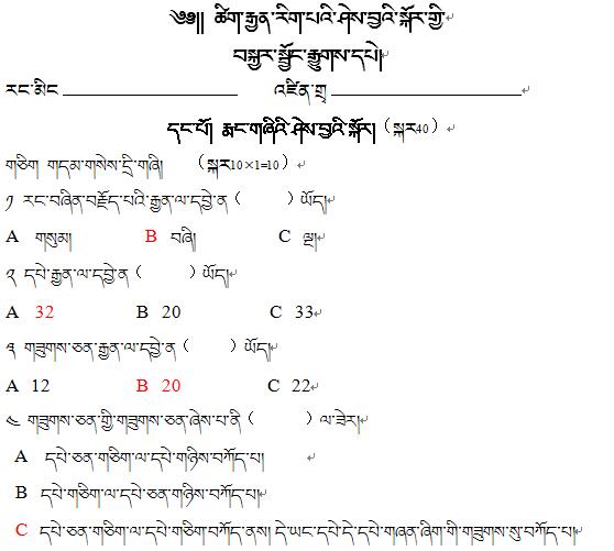 初三年级下学期藏语文《诗学》复习试卷