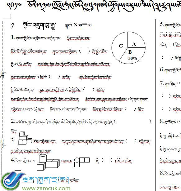 聂拉木县樟木小学六年级下学期数学小考模拟试卷