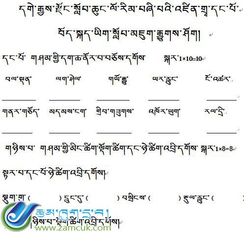 西藏革吉县完小毕业班藏语文毕业考试试卷
