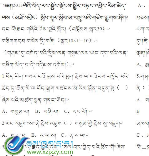 2013年中考藏语文试卷 真题