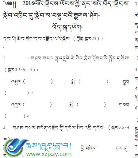 2016年小考藏语文试卷 真题