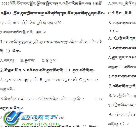 2012年中考藏语文试卷 真题