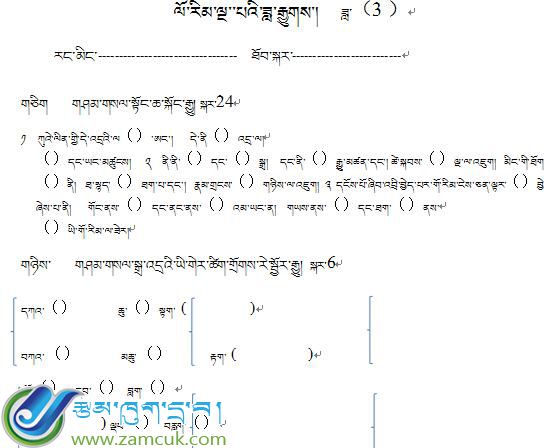 西藏江孜县小学五年级下学期藏语文下册月考3试卷