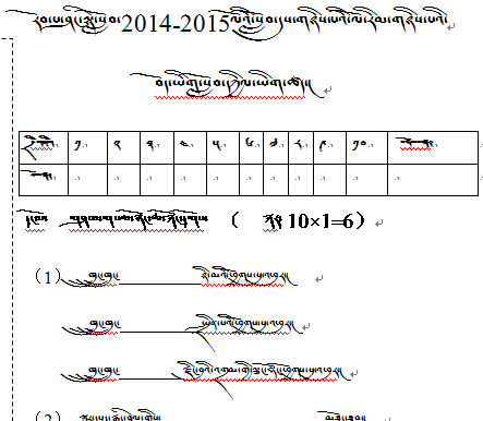 小学二年级下学期藏语文期中考试试卷.jpg