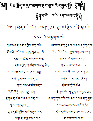 初中藏文语法三十颂复习提纲