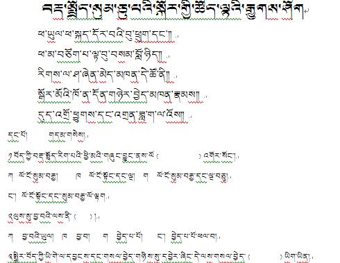 初三下学期藏语文《藏语语法复习测验题》