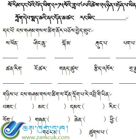 西藏山南市错那镇小学一年级下学期藏文复习