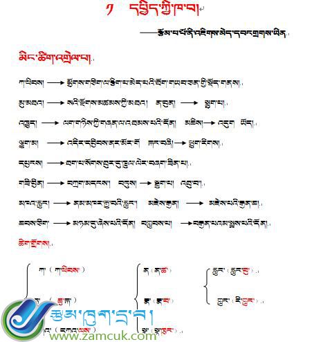 南木林艾玛乡小学五年级下学期藏语文下册总复习题